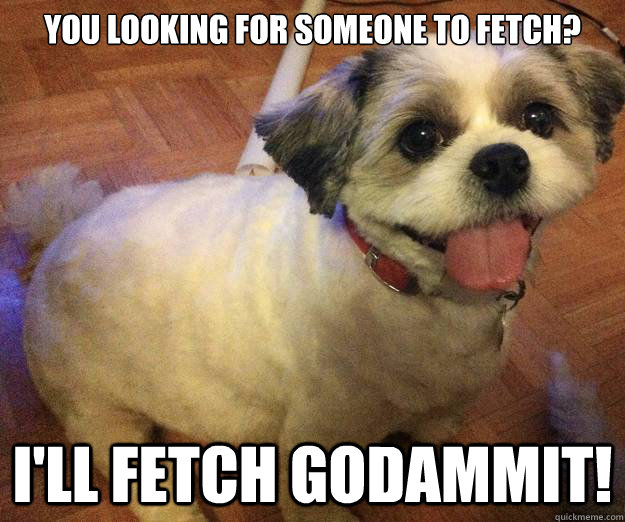 You looking for someone to fetch? I'll fetch godammit! - You looking for someone to fetch? I'll fetch godammit!  Happy Puppy is Happy