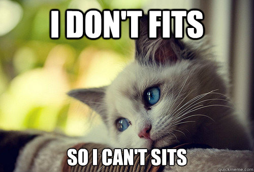 I don't fits  So I can't sits - I don't fits  So I can't sits  First World Cat Problems