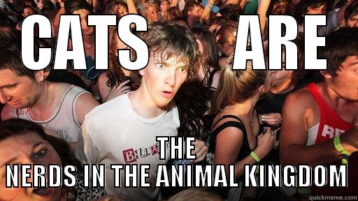 CATS       ARE THE NERDS IN THE ANIMAL KINGDOM Sudden Clarity Clarence