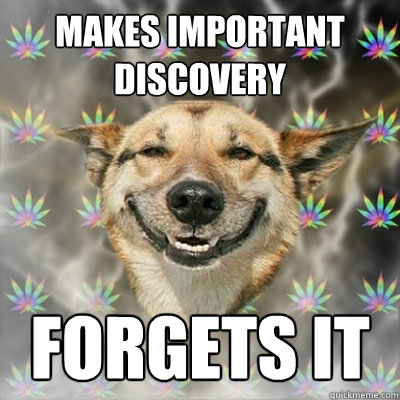 Makes important discovery forgets it  Stoner Dog