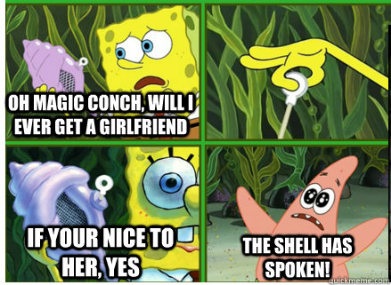 Oh Magic Conch, will i ever get a girlfriend if your nice to her, yes The SHELL HAS SPOKEN!  Magic Conch Shell
