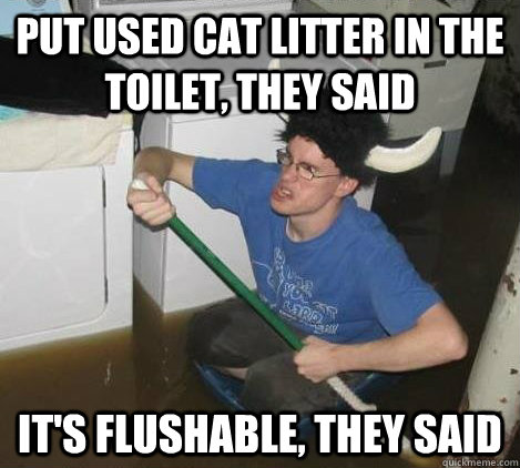 put used cat litter in the toilet, they said it's flushable, they said  They said