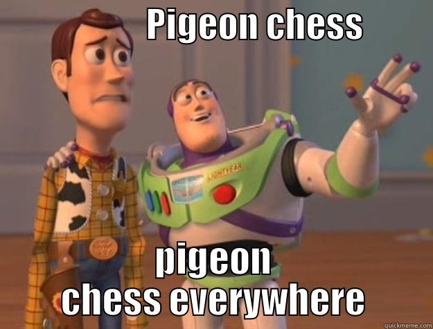 Pigeon chess -                      PIGEON CHESS           PIGEON CHESS EVERYWHERE Toy Story