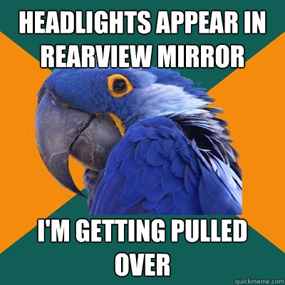 Headlights appear in rearview mirror I'm getting pulled over  Paranoid Parrot