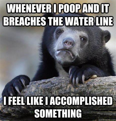 whenever i poop and it breaches the water line i feel like i accomplished something  Confession Bear