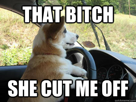That bitch she cut me off - That bitch she cut me off  Corgi Driver