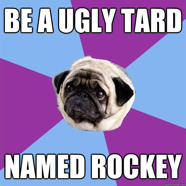 Be a ugly tard Named rockey  Lonely Pug