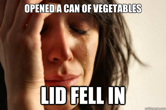 Opened a can of vegetables Lid fell in  First World Problems