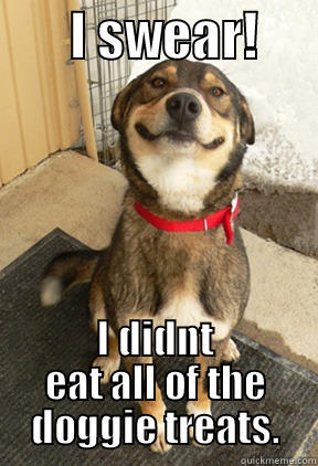        I SWEAR!       I DIDNT EAT ALL OF THE DOGGIE TREATS. Good Dog Greg