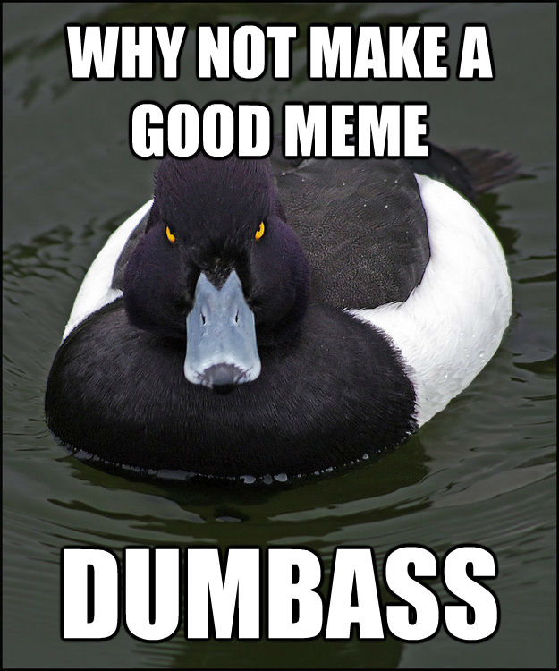 WHY NOT MAKE A GOOD MEME DUMBASS  Angry Advice Duck