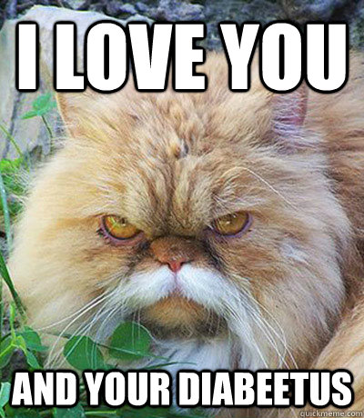 i love you and your diabeetus  Diabeetus Cat