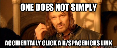 One does not simply accidentally click a r/spacedicks link  One Does Not Simply