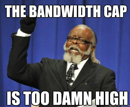 the bandwidth cap is too damn high  Too Damn High
