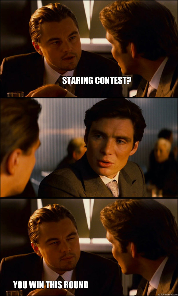 Staring contest?  You win this round - Staring contest?  You win this round  Inception