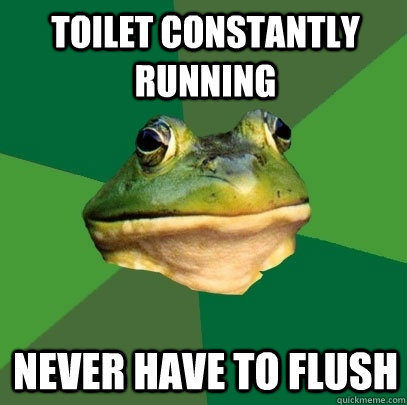 Toilet constantly running Never have to flush  Foul Bachelor Frog