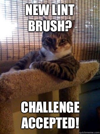 New lint brush?  Challenge accepted!  The Most Interesting Cat in the World
