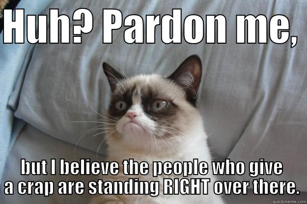 HUH? PARDON ME,  BUT I BELIEVE THE PEOPLE WHO GIVE A CRAP ARE STANDING RIGHT OVER THERE. Grumpy Cat