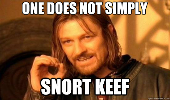 One does not simply snort keef  90s Boromir
