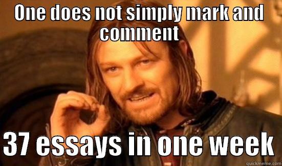 ONE DOES NOT SIMPLY MARK AND COMMENT  37 ESSAYS IN ONE WEEK Boromir