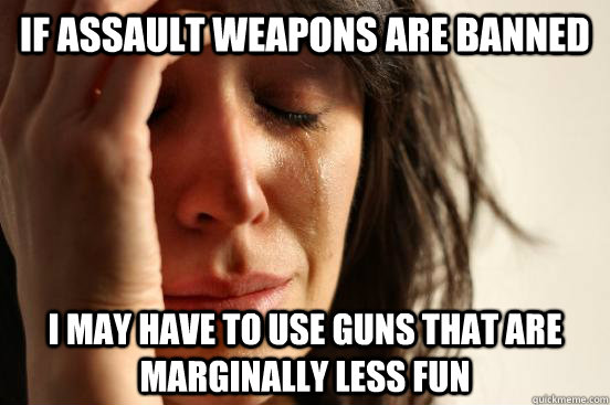 if assault weapons are banned I may have to use guns that are marginally less fun  First World Problems