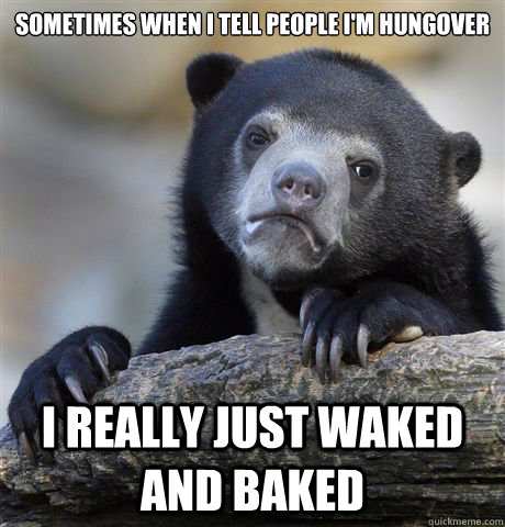 Sometimes when I tell people I'm hungover I really just waked and baked  Confession Bear