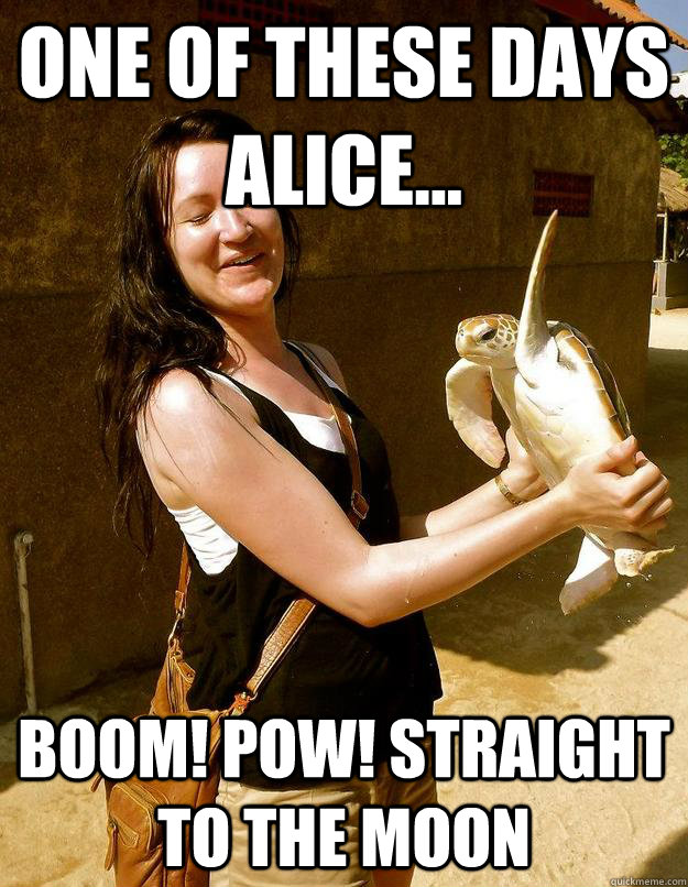 One of these days Alice... Boom! POW! Straight to the moon - One of these days Alice... Boom! POW! Straight to the moon  Domestic Violence Turtle