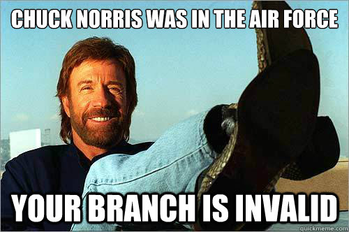 chuck norris was in the air force your branch is invalid  