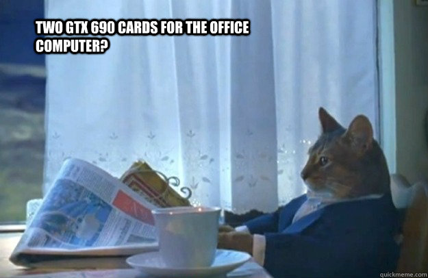 two gtx 690 cards for the office computer?  Sophisticated Cat