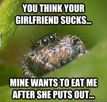 You think your girlfriend sucks... Mine wants to eat me after she puts out...  Misunderstood Spider