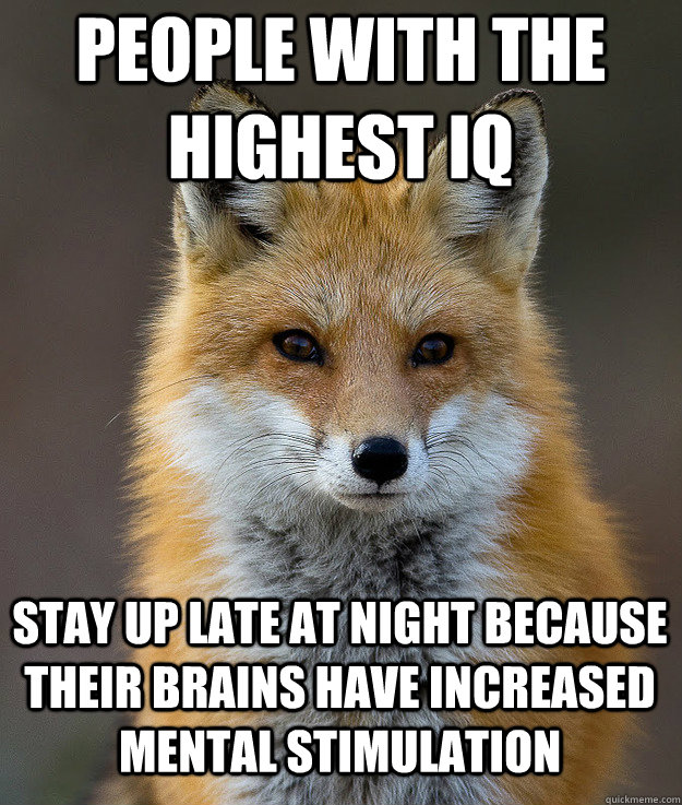 people with the highest IQ stay up late at night because their brains have increased mental stimulation  Fun Fact Fox