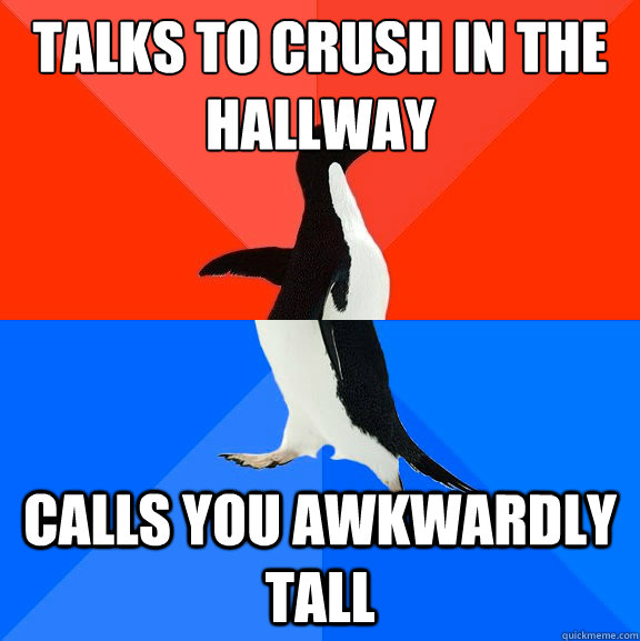 Talks to crush in the hallway Calls you awkwardly tall  Socially Awesome Awkward Penguin