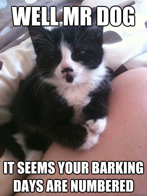 Well mr dog it seems your barking days are numbered  