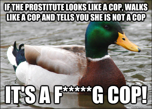 If the prostitute looks like a cop, walks like a cop and tells you she is not a cop it's a f*****g COP!  Actual Advice Mallard