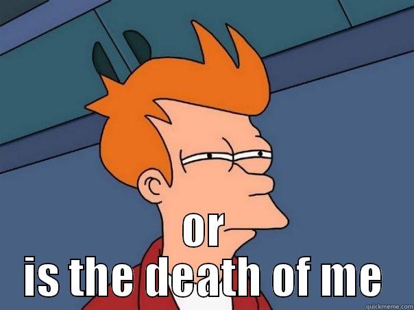  OR IS THE DEATH OF ME Futurama Fry