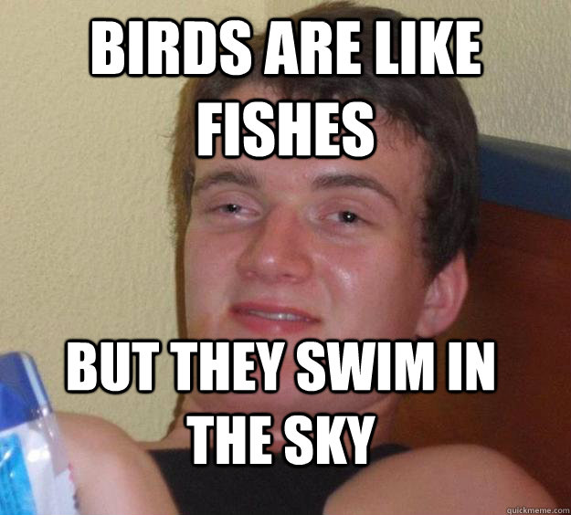 birds are like fishes but they swim in the sky  10 Guy