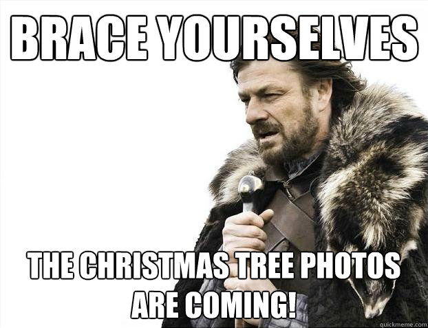 Brace yourselves The Christmas tree photos are coming!  Brace Yourselves - Borimir