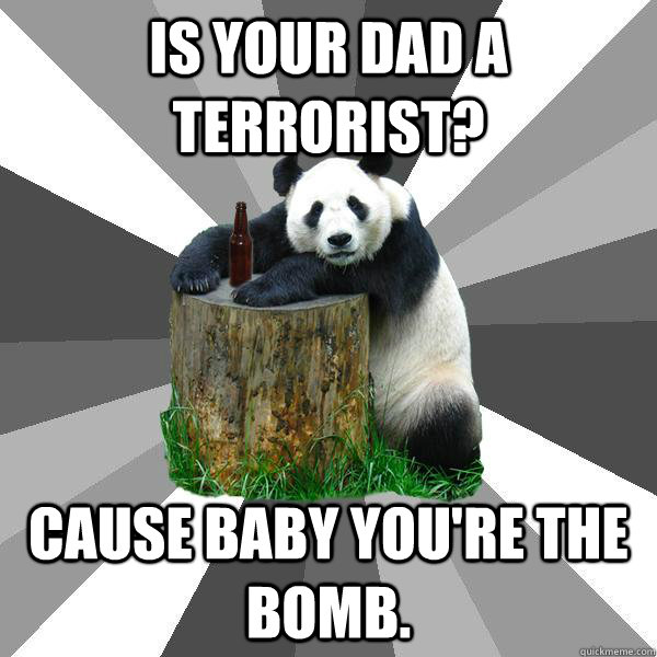 Is your dad a terrorist? cause baby you're the bomb. - Is your dad a terrorist? cause baby you're the bomb.  Pickup-Line Panda