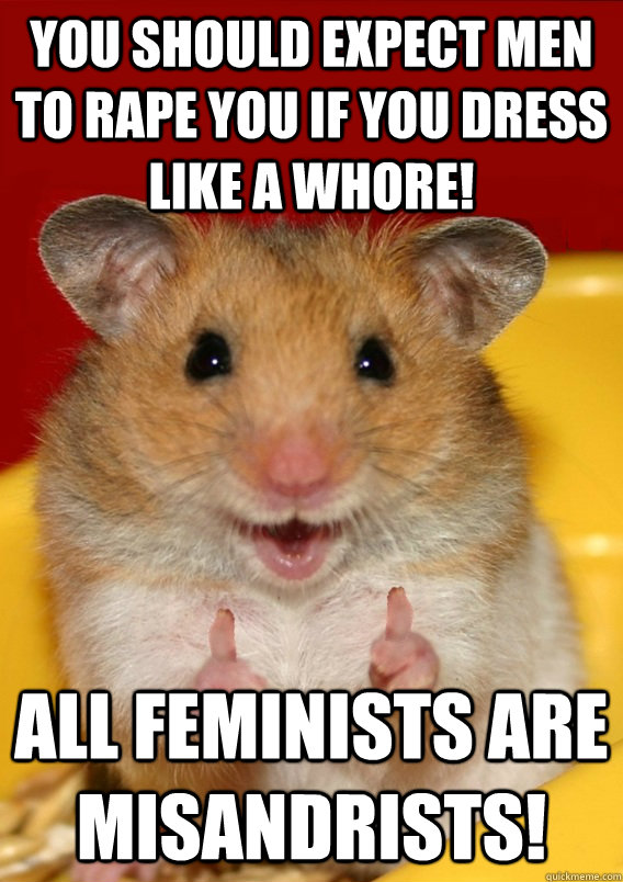 You should expect men to rape you if you dress like a whore! All feminists are misandrists!  - You should expect men to rape you if you dress like a whore! All feminists are misandrists!   Rationalization Hamster