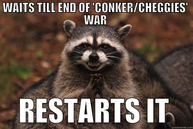 WAITS TILL END OF 'CONKER/CHEGGIES' WAR RESTARTS IT Evil Plotting Raccoon