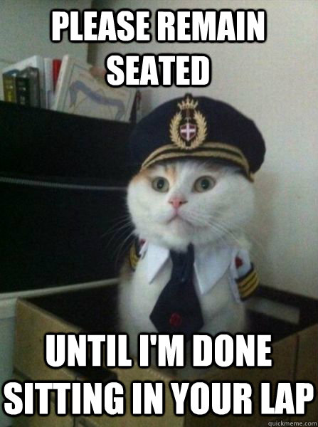 please remain seated until I'm done sitting in your lap  Captain kitteh
