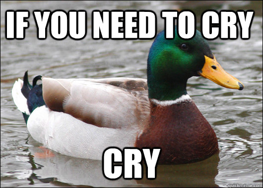 If you need to cry cry  Actual Advice Mallard