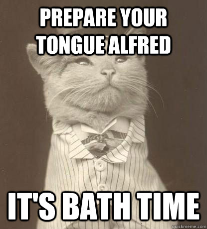 Prepare your tongue alfred it's bath time  Aristocat