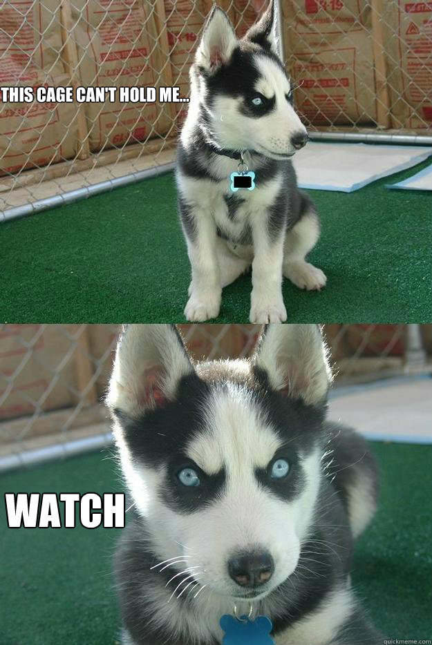 This cage can't hold me... watch  Insanity puppy