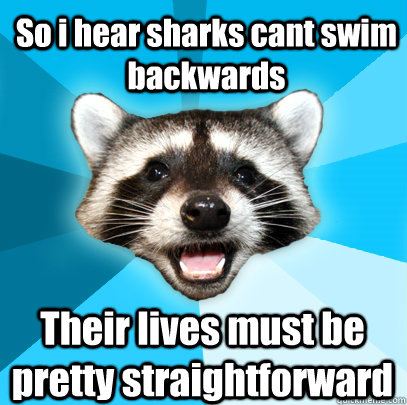 So i hear sharks cant swim backwards Their lives must be pretty straightforward  Lame Pun Coon