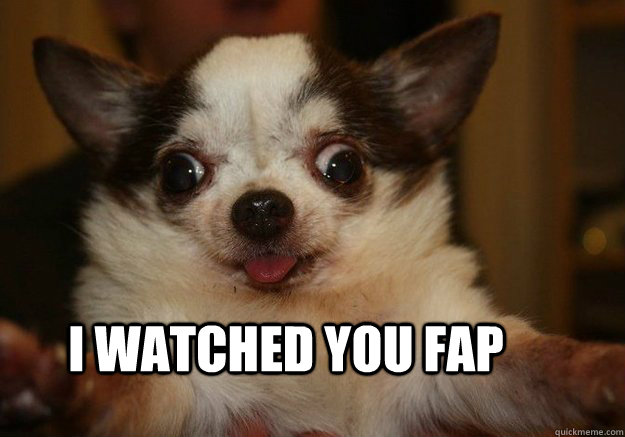 I watched you fap - I watched you fap  retarded dog