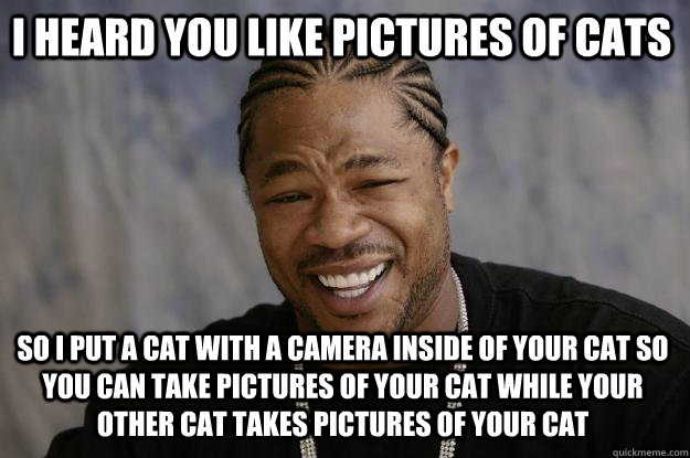 I heard you like pictures of cats So i put a cat with a camera inside of your cat so you can take pictures of your cat while your other cat takes pictures of your cat  Xzibit meme