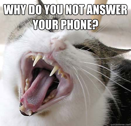 Why do you not answer your phone?  - Why do you not answer your phone?   Misc