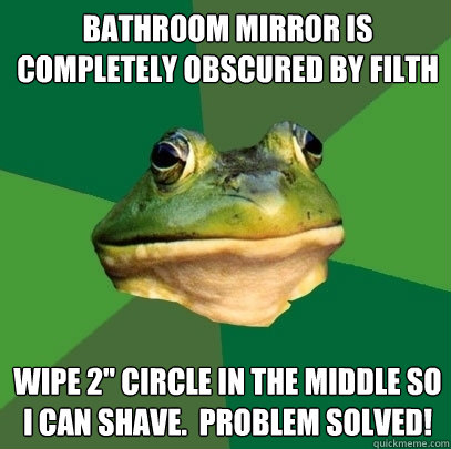 Bathroom Mirror is completely obscured by filth wipe 2