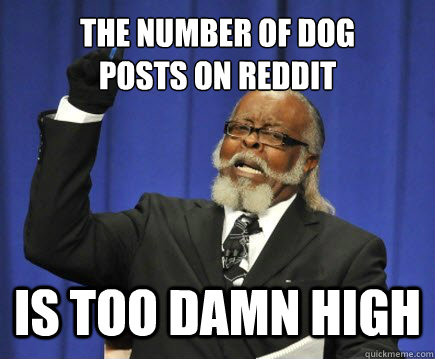 The number of Dog
posts on reddit Is too damn high  Too Damn High