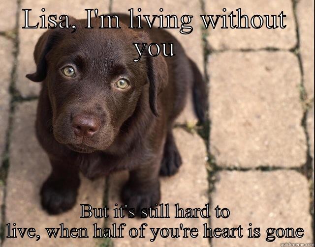 LISA, I'M LIVING WITHOUT YOU BUT IT'S STILL HARD TO LIVE, WHEN HALF OF YOU'RE HEART IS GONE Misc